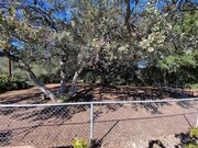 Photo - 25915 Jesmond Dene Rd