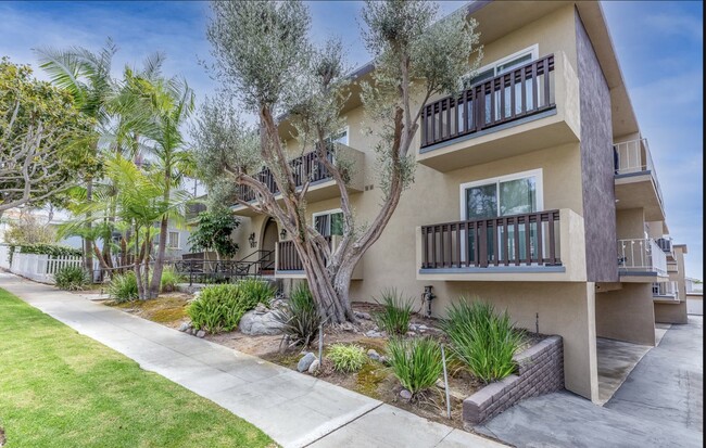 The Olive Branch - The Olive Branch Apartments