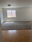 new rug living room - 3141 Thoroughbred St House