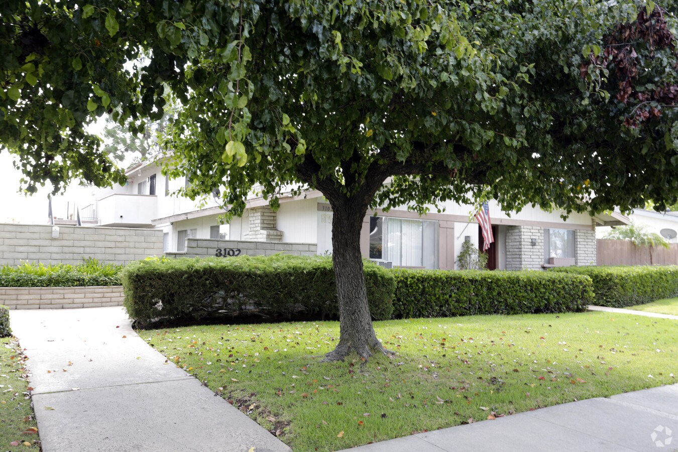 Photo - Mace Apartments