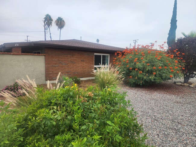 Front Yard - 431 S Simpson Ave Unit A