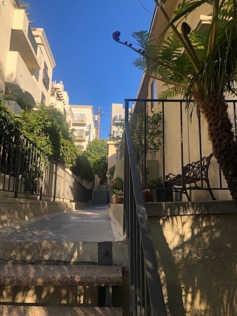 Photo - Darlington Ave