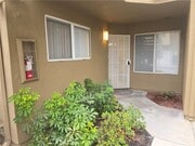 Photo - 27823 Violet