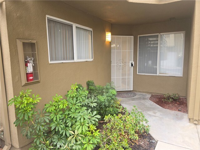 Photo - 27823 Violet