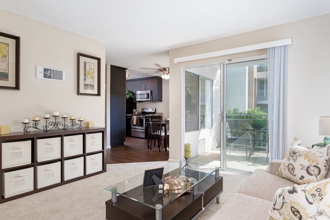 Photo - Navajo Bluffs