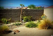 Photo - Del Webb,55+,Community.Rancho Mirage.Furni... House