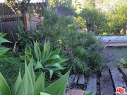 Photo - 1961 1/2 Echo Park Ave House