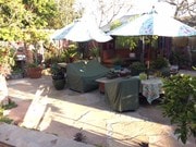 Off redwood deck - 1136 8th St House