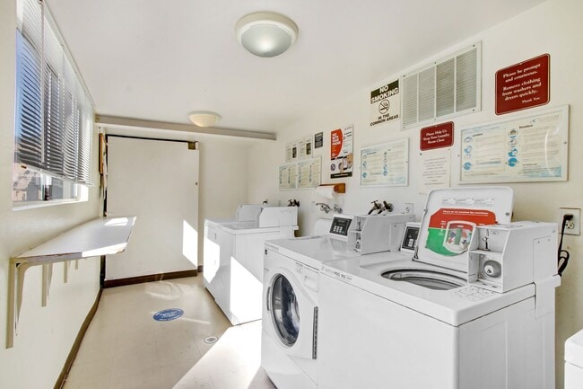 Photo - Beautiful 1 bedroom 1 Bath Unit Unit 365-4