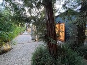 Enchanted Patio underneath redwood trees - 2401 32nd St House