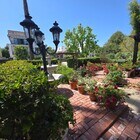 Photo - Warm & Welcoming Home Near Melrose with Room to Live, Work & Create Unit 812 June St