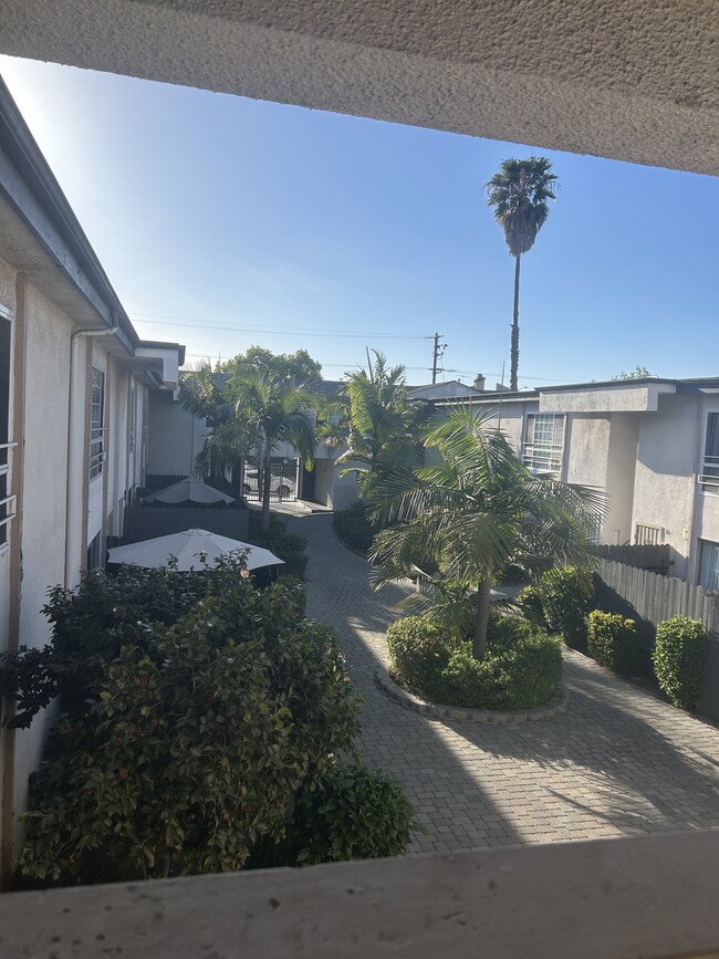 Courtyard - Palm Terrace