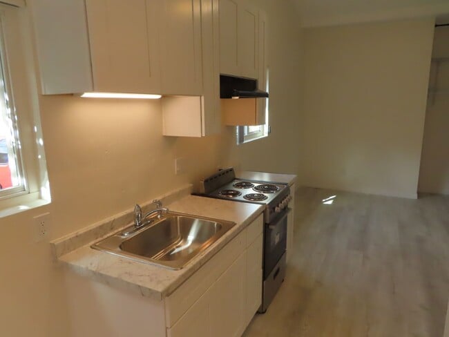 Photo - Renovated Studio Apartment in La Mesa Unit E