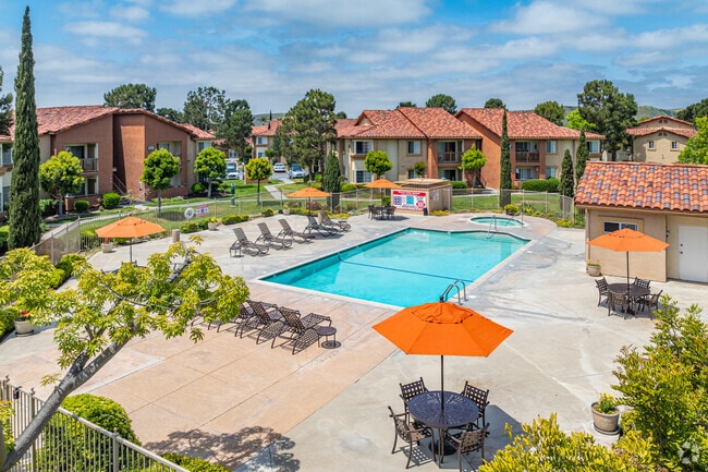 Pool, Spa and Grill Area - Riverview Springs