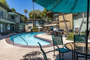 Pool - Poinsettia Place