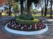 Photo - 16026 Timberhill Ln