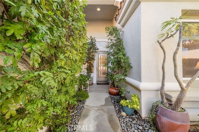 Photo - 78739 Iron Bark Dr