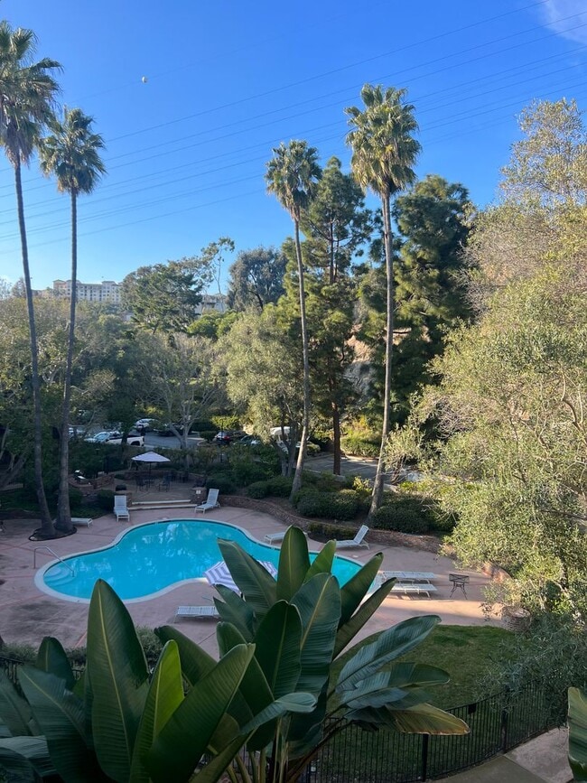 Building Photo - 1 Bedroom Condo in Mission Valley Unit 319