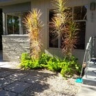 Photo - 809 N Las Palmas Ave Apartments Unit 1