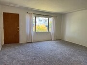 new carpet, drapes - 7135 Mohawk St House