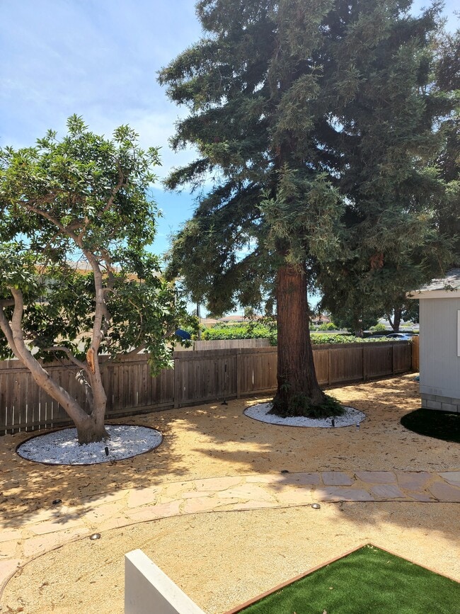 Photo - 73 College Dr