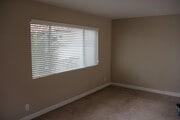 Palm tree outside large living room window - 227 La Paloma Unit A
