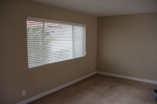 Palm tree outside large living room window - 227 La Paloma Unit A