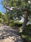 Photo - Mt Helix Custom Home with Panoramic Views ...