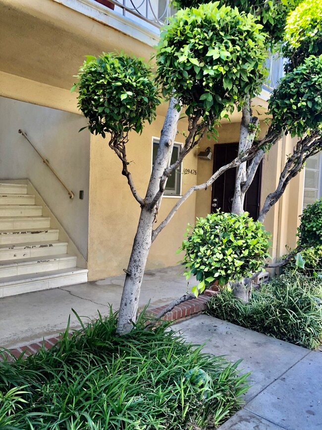 Photo - 10942 Moorpark St Unit 1