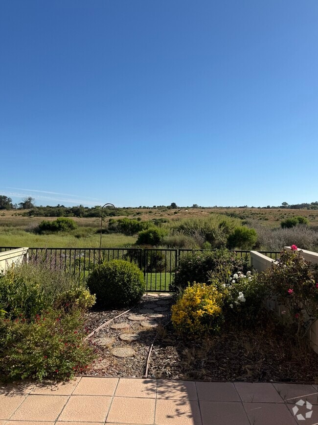 Backyard View - 7061 Marymount Way Rental