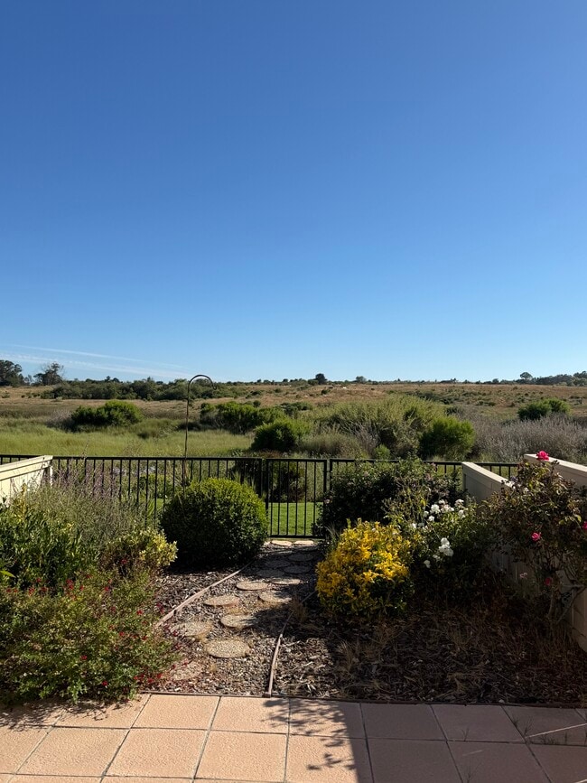 Backyard View - 7061 Marymount Way Townhome