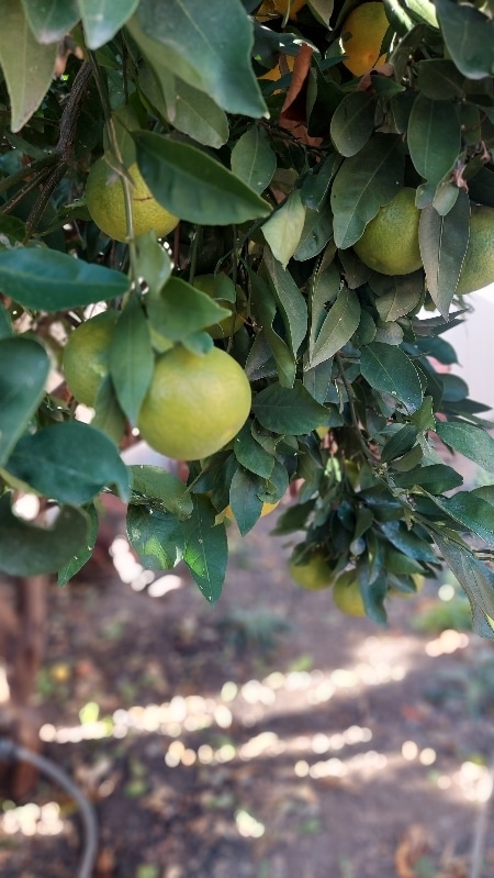 Photo - 9204 Old Castle Rd