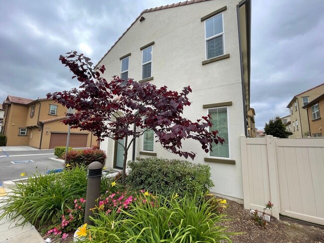 Building Photo - Luxury 4 Bedroom 3 Bathroom Home in a Gated Community in Murrieta!