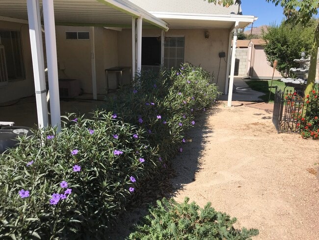 Photo - 24312 Dunlavy Ct