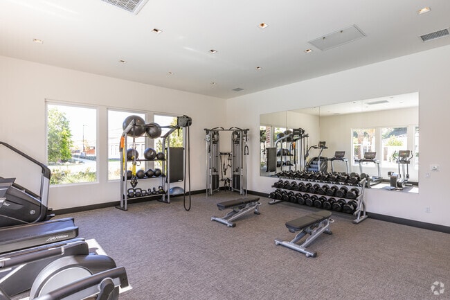 Fitness - Rendezvous