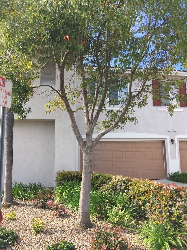 Building Photo - 10970 Ivy Hill Dr Unit 3