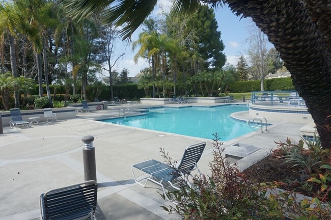 Photo - Highly Upgraded End Unit 2 Bedroom 2 Bathroom in Orange Unit 6