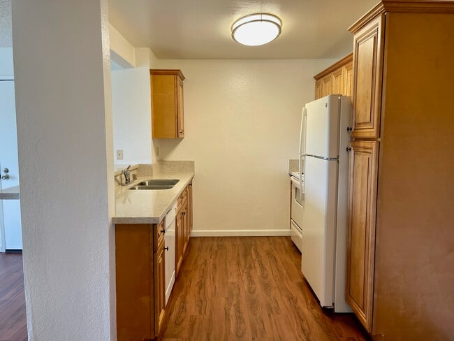 Photo - Camino Colony