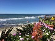 Exclusive beachfront terrace - 5143 Shore Dr Unit Guest Villa