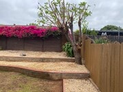 South Back Yard - 1263 Bostonia St House