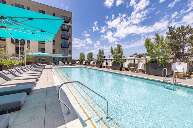 Pool - Elowen