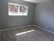 Photo - WEST SIDE PRUNE