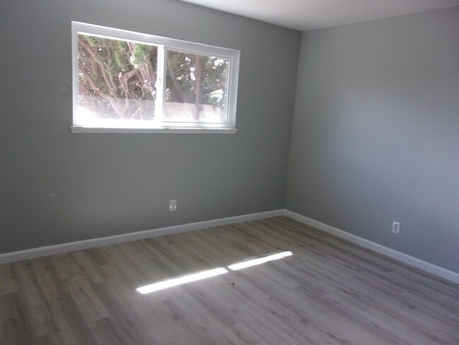 Photo - WEST SIDE PRUNE