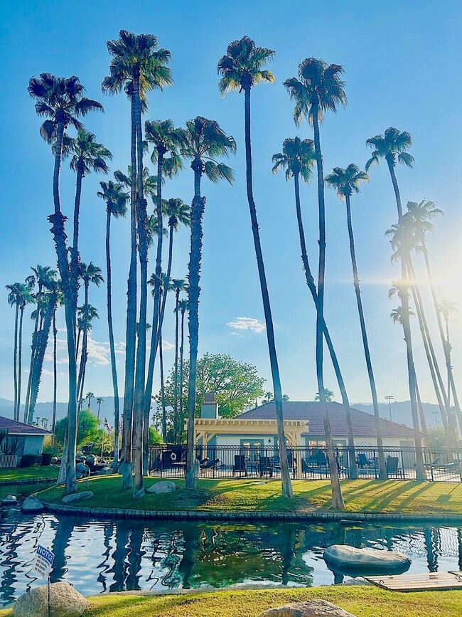 Photo - 43376 Cook St Unit 87