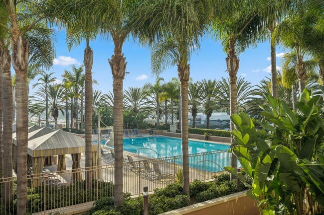 Photo - 5047 Scholarship