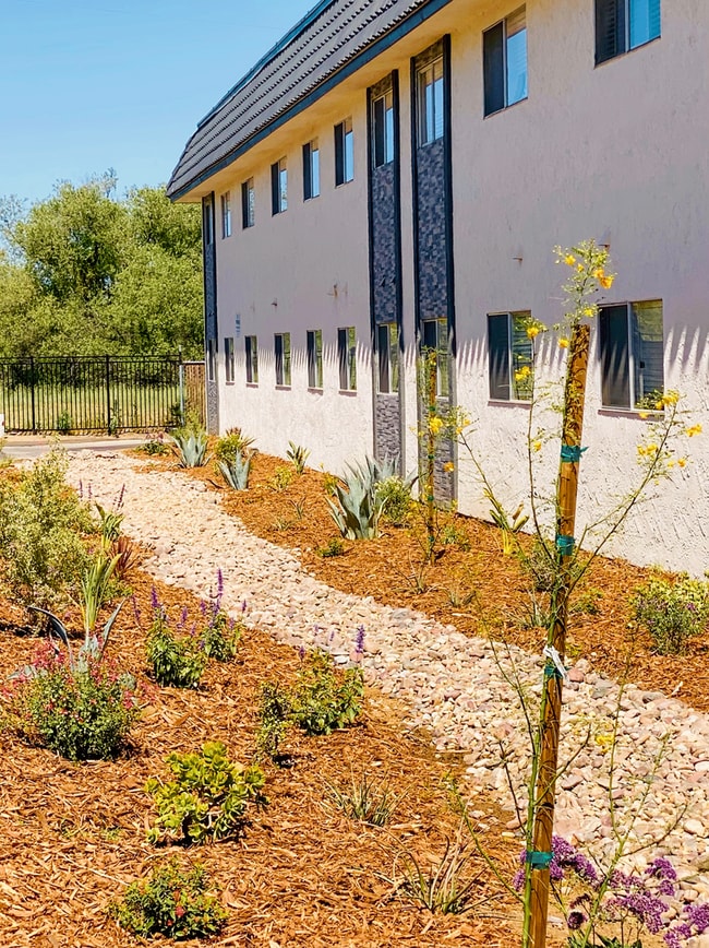 Photo - Country Gardens