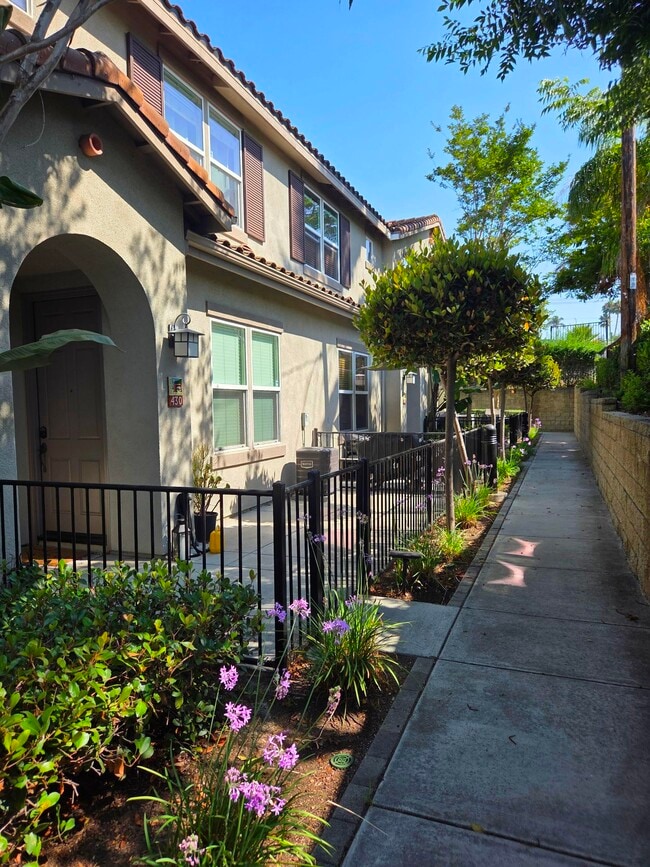 Building Photo - 430 Caminito Azul Unit Santa Fe Walk Rental