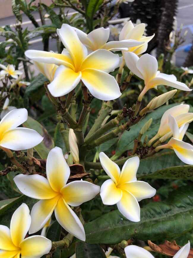 Building Photo - 840 W 168th St Unit #B