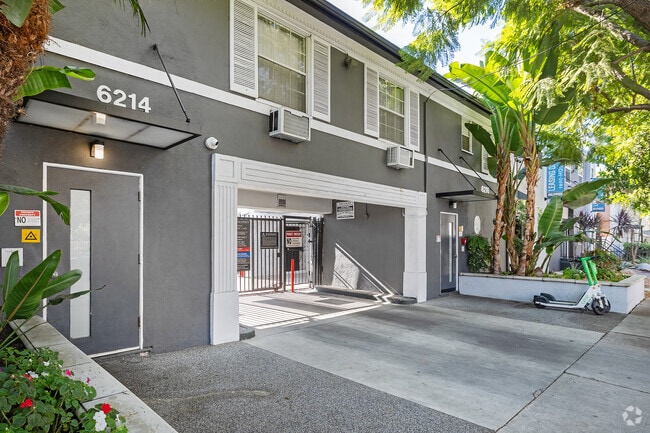 Photo - Hollywood Off-Vine