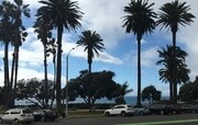 Park/Ocean view - 833 Ocean Ave Unit 101